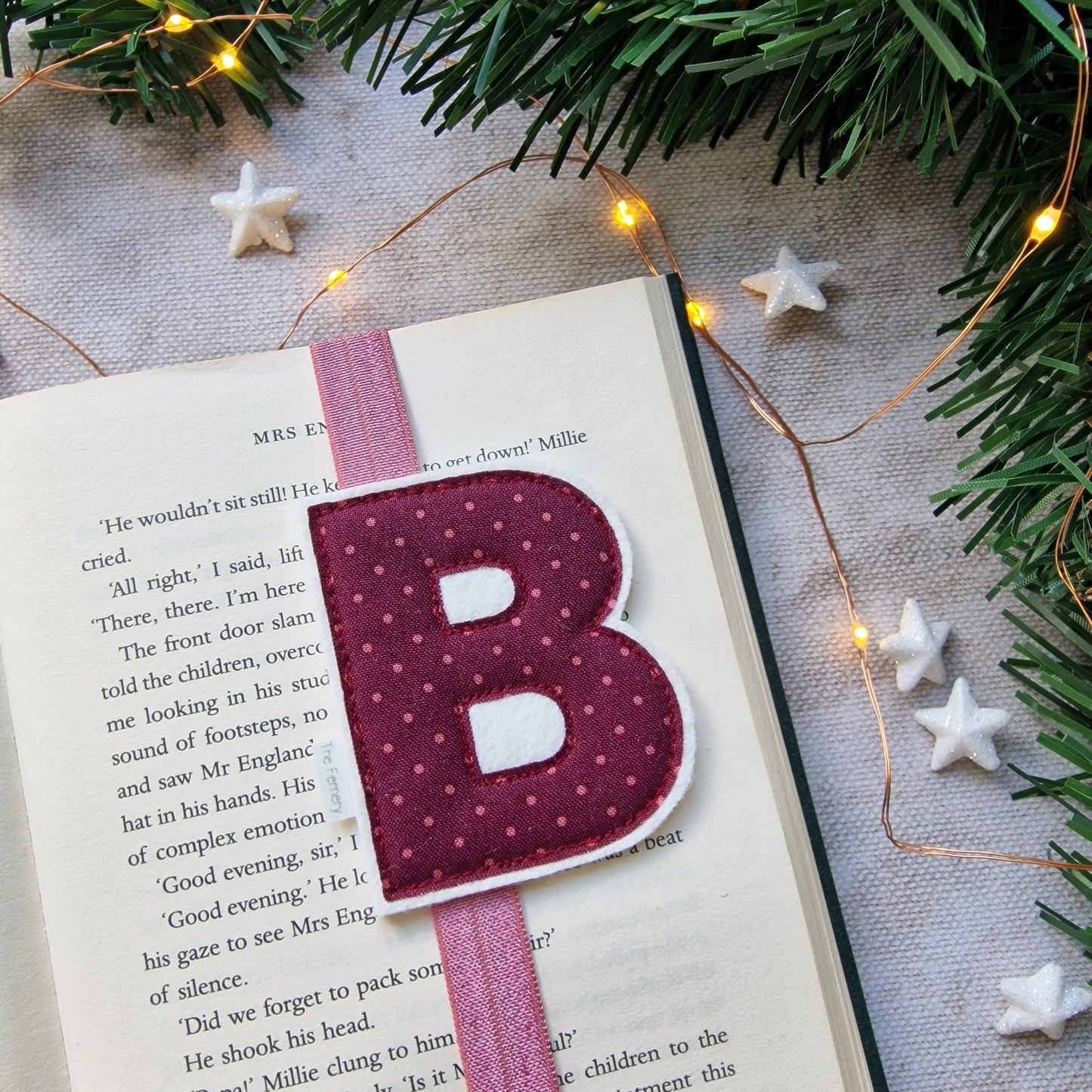 Christmas Initial Bookband Special Editions
